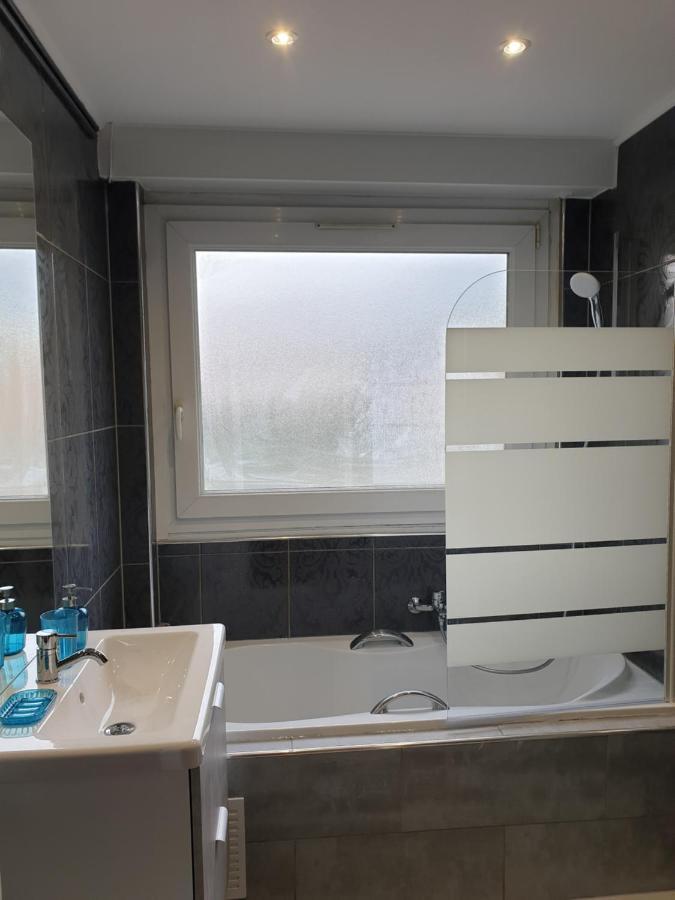 Appartement La Roseraie Proche Centre/Gare Metz Bagian luar foto