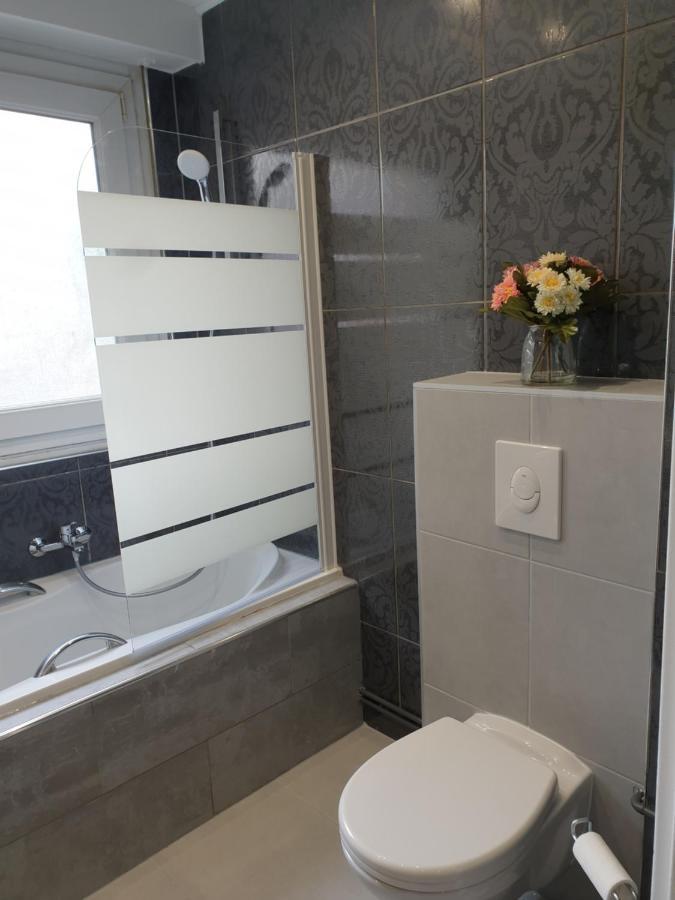 Appartement La Roseraie Proche Centre/Gare Metz Bagian luar foto